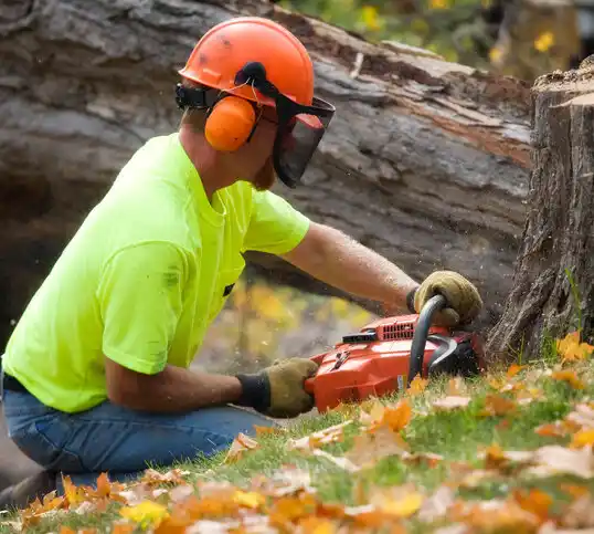 tree services Rosebud